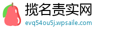 揽名责实网